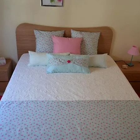 Eco & Guest house